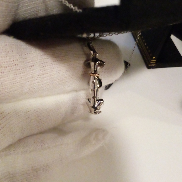 ---- - Picture 6 of 13